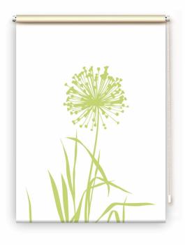 Rollo Allium 24 blanco Apfel, Rollo, Motivrollo, Rollo mit Druck, Fotorollo, bedrucktes Rollo, Fensterrollo,verdunkelndes Rollo, Sonnenschutz Rollo